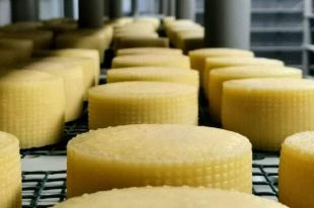 Могут ли голландцы запретить сыр «гауда» в России?