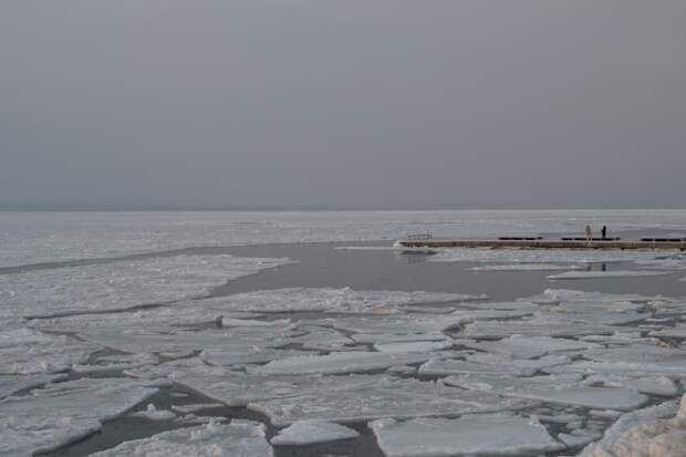 Экологическая катастрофа: Амурский залив во Владивостоке стал коричневым и воняет канализацией