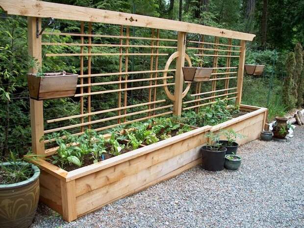gardeningandliving.org Грядки-короба со шпалерами