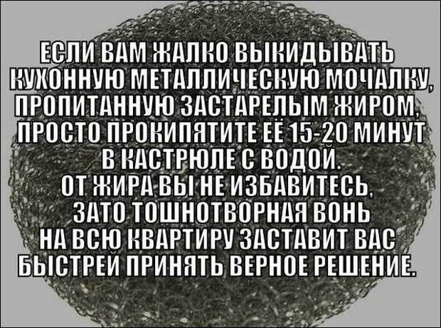 Смешные картинки с подписями (20 фото)