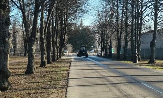 Стало известно, как Приморский парк Победы готовится к теплым прогулкам