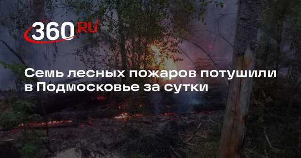 Семь лесных пожаров потушили в Подмосковье за сутки
