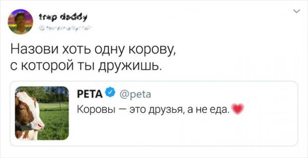 www.vsyako.net