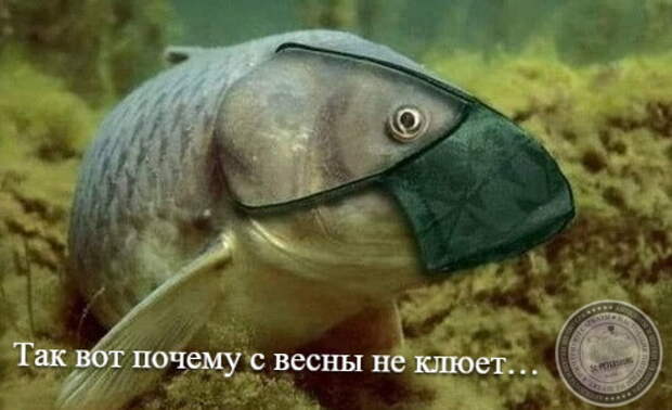 Так вот почему с весны не клюет…