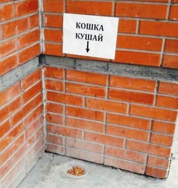 Смелые, но забавные объявления Смелые, но забавные объявления
