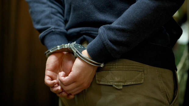 Экс-глава минобороны Грузии задержан за организацию штурма дворца 4 октября