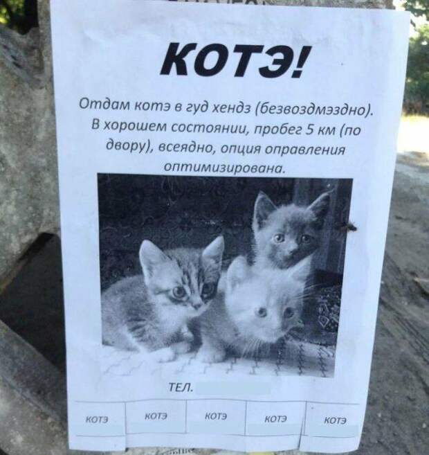 www.vsyako.net