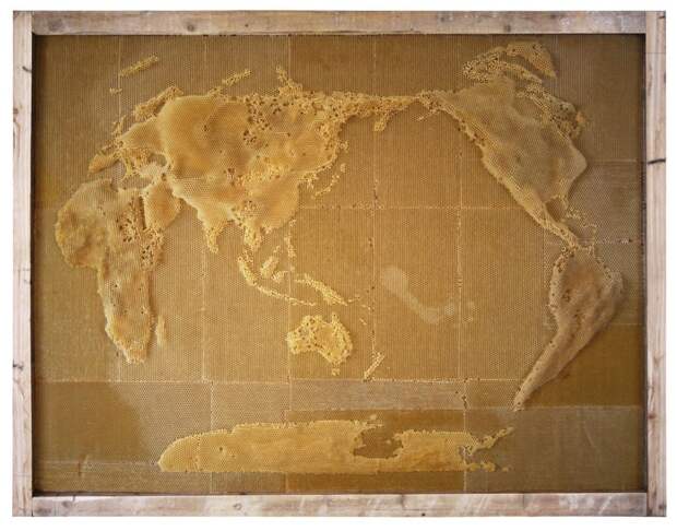 Восковые карты японского пчеловода Восковые карты японского пчеловода воск, карта, пчела, скульптура