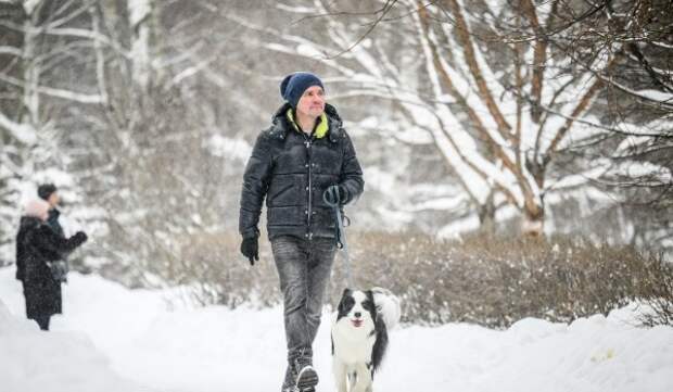 Облачная погода и до 8 градусов мороза ожидаются в Москве 15 января