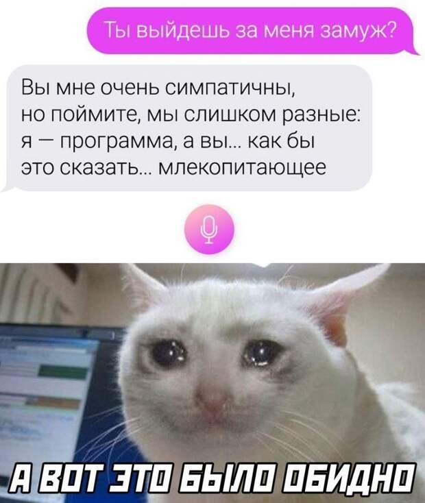 смешные картинки с надписями (15)