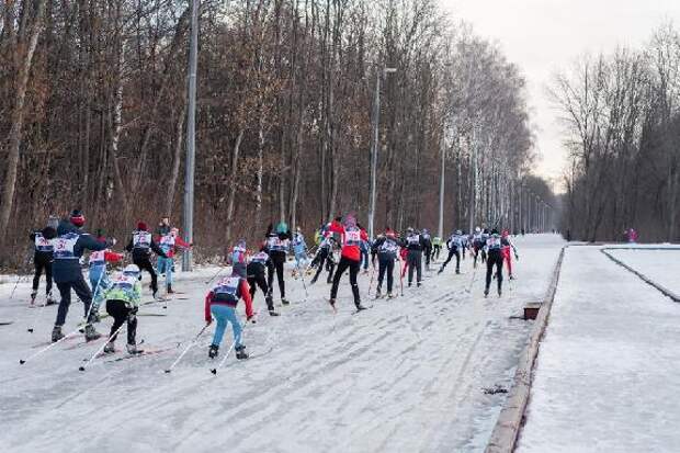 В Тамбове пройдёт "Державинская лыжня"
