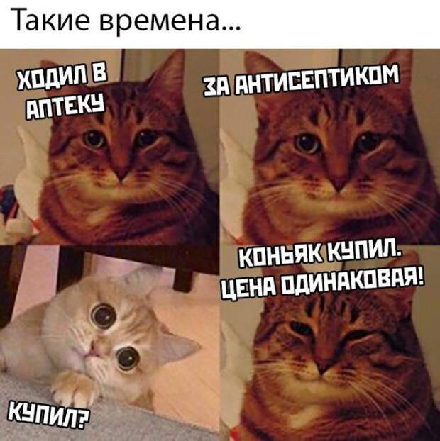 1587051681_kartinki-2.jpg