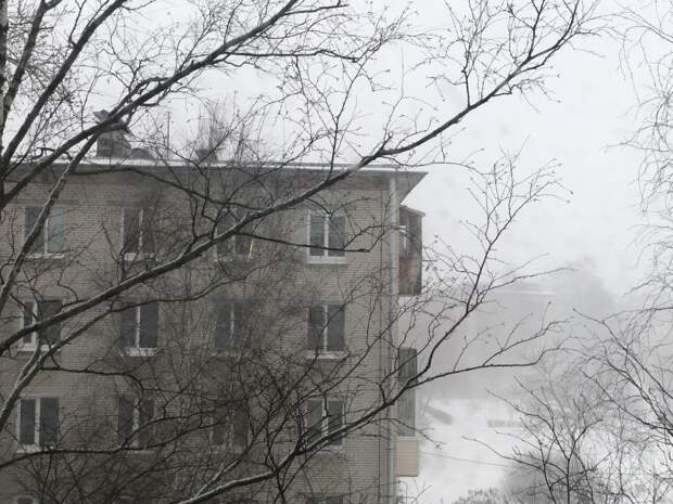 Синоптик Колесов: Москва превзошла Петербург по уровню снега