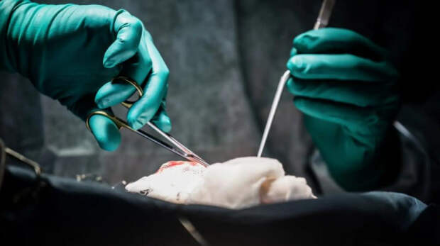 Больше 17 тысяч крымчан получили высокотехнологичную медпомощь в 2025 году