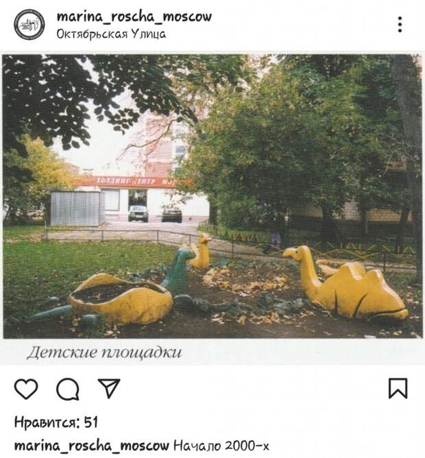 Фото дня: верблюды «отдыхают» на Октябрьской