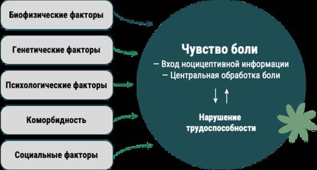 Основные факторы хронизации боли