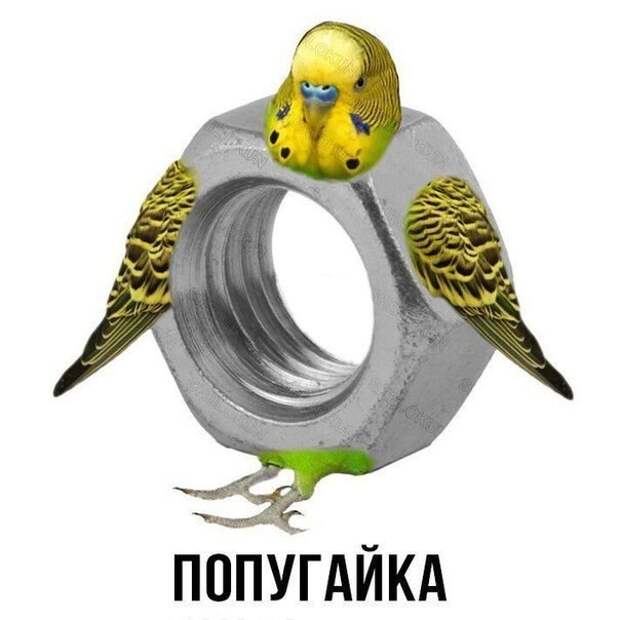 Прикольные картинки (15.12.16)