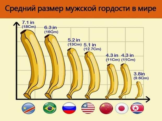 ПРИЗНАКИ ПО КОТОРЫМ МОЖНО СУДИТЬ О РАЗМЕРЕ МУЖСКОГО ДОСТОИНСТВА