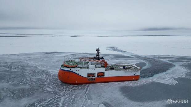 Экспедиция российской дрейфующей станции «Северный полюс — 41» в Арктике завершила работу