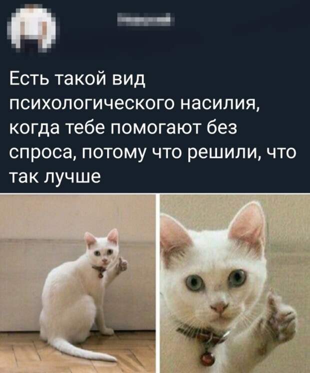 Подборка картинок. Вечерний выпуск (30 фото)