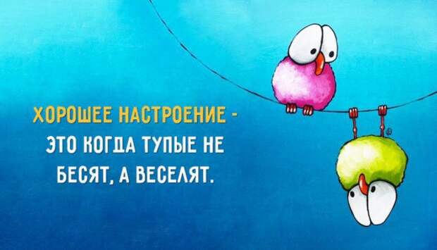 Прикольные картинки с надписями для поднятия настроения Прикольные картинки с надписями для поднятия настроения