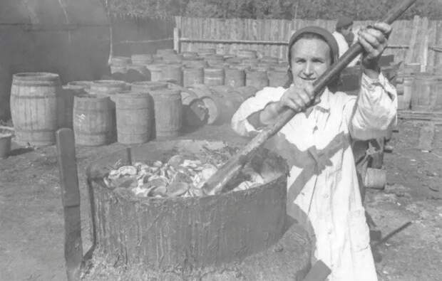 Старые песни о главном - как НКВД всех бледной поганкой травили