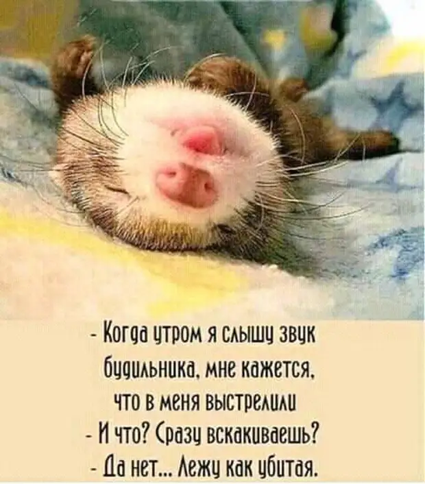 — Покупаем на все деньги лотерейные билеты в США. Выигрываем 1,6 млрд долларов...