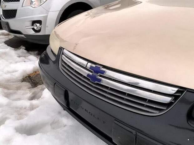 Автовсячина