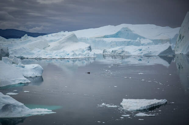 Крупнейший ледник Гренландии приблизился к точке невозврата