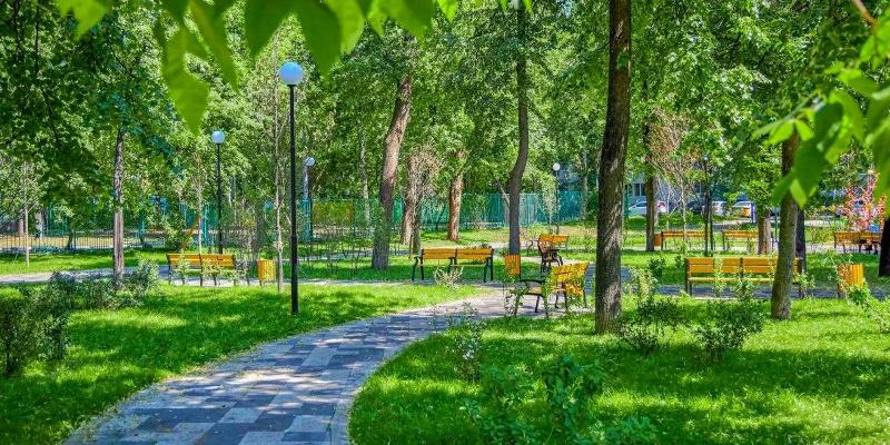 Депутат МГД Головченко напомнил об опасности борщевика и необходимости борьбы с ним / Фото: mos.ru