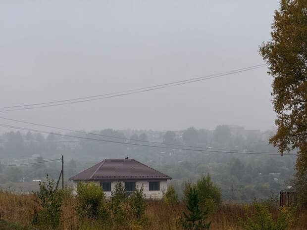 В Тульской области прогнозируют прохладу и дожди
