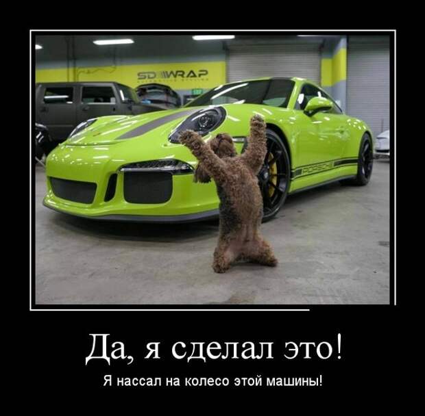 Демотиваторы (30 фото)