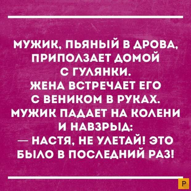 Смешные фото с надписями и цитатами часть 1 за сентябрь 2016 (49 фото)