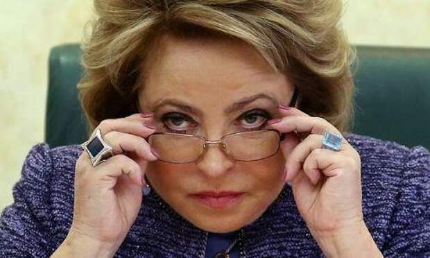 Матвиенко дала главе Минприроды полгода разобраться с незаконной вырубкой леса