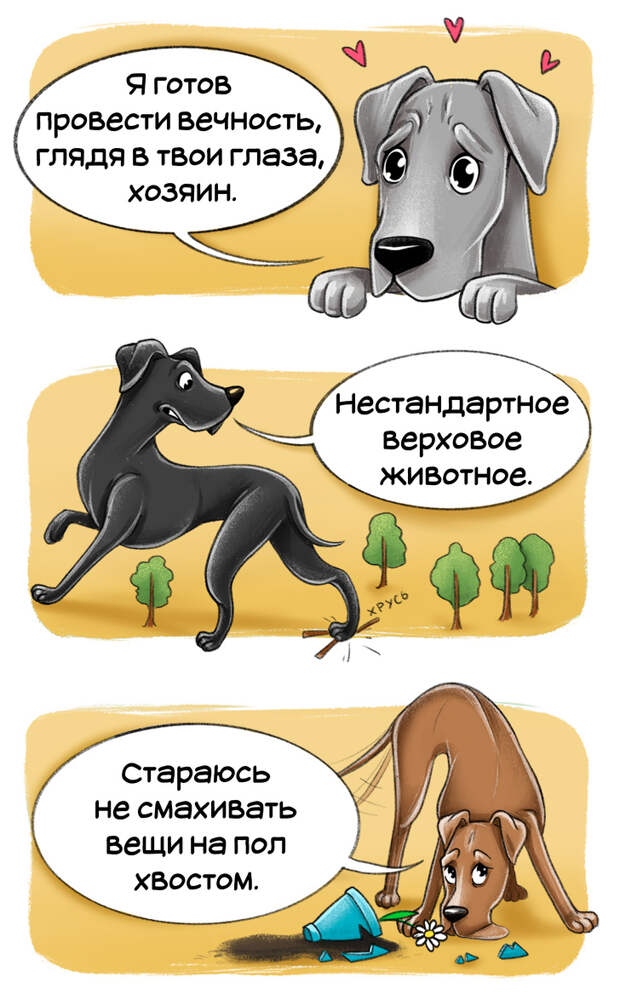 Честный гид по породам собак от первого лица (Часть 2-я)