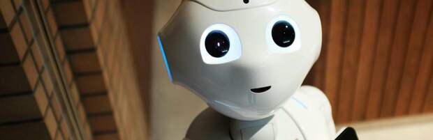 Житель Алматинской области пришёл на участок для голосования с роботом