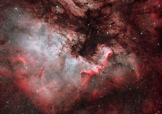 Туманность NGC 7000 «Северная Америка» в созвездии Лебедь