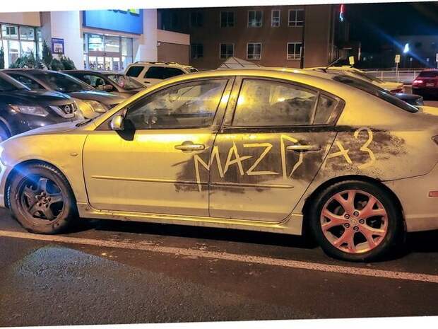 Автовсячина
