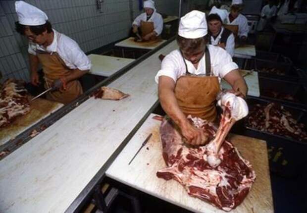 Горы гниющего мяса кто-то разбросал по обочине трассы под Ростовом