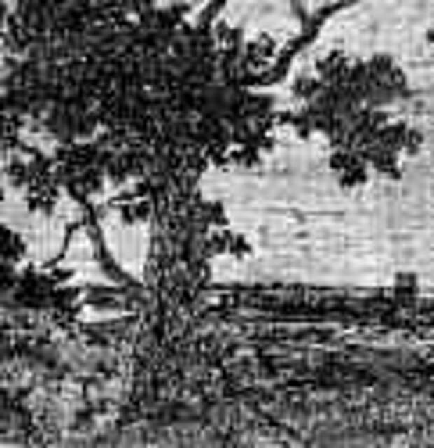 Пейзаж со старым дубом и видом в даль. 1621-1632 - Офорт, черный оттиск на окрашенной светло-коричневой хлопковой ткани 75 x 134 мм Риксмузеум Амстердам