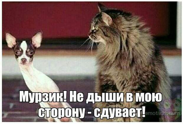 Свежие картинки с надписями этой пятницы
