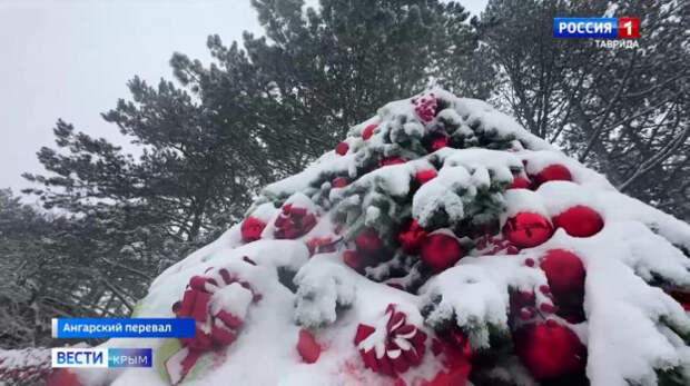 Снег и метель: В Крыму — новогодняя погода