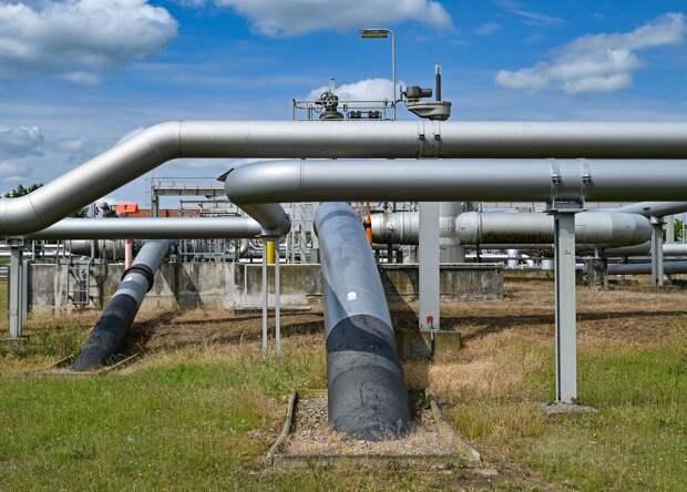 Захарова: остановка транзита через «Дружбу» угрожает энергобезопасности Европы