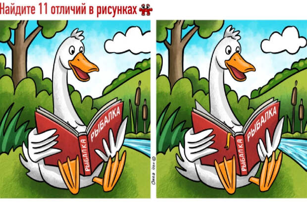 Утка читает книгу о рыбалке, а вы ищете 11 отличий. Сможете найти все?