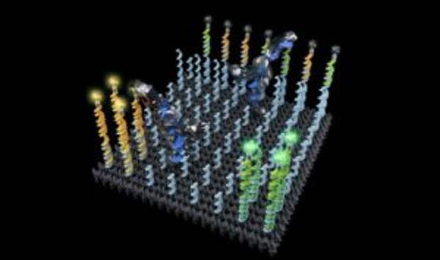 Нанороботы-погрузчики на основе ДНК смогут доставлять важные лекарства внутри нашего тела