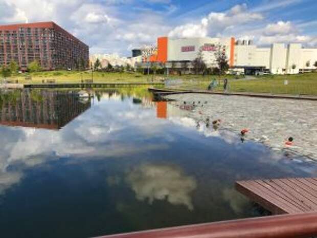 Программа для планирования прогулок по районам города стартовал в Москве