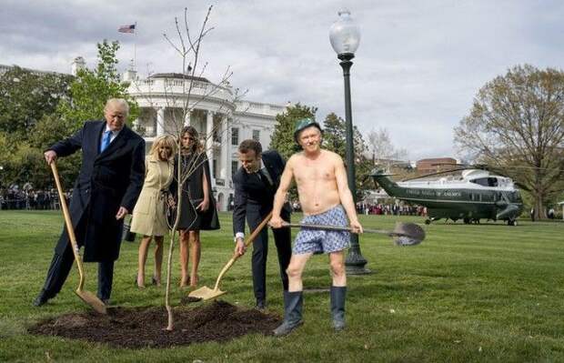 Сажающие дерево Трамп и Макрон стали героями фотожаб (41 фото)
