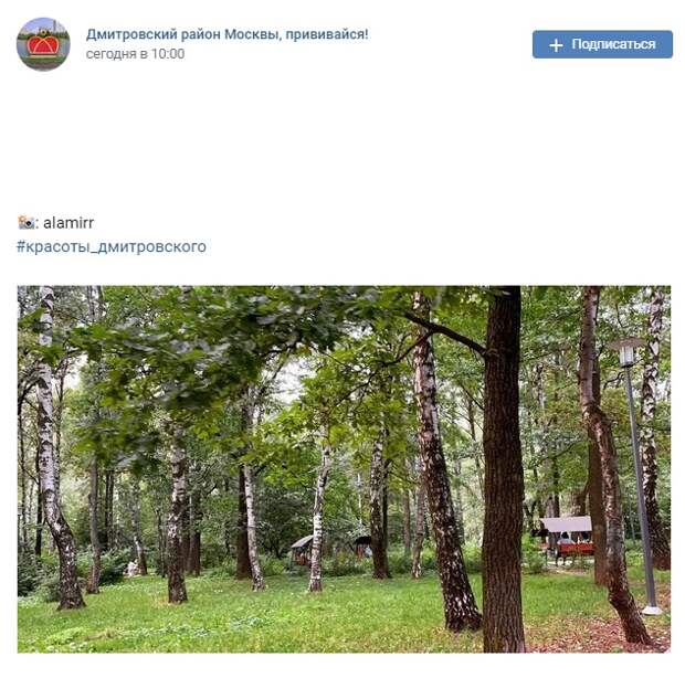 Фото дня: спокойствие и умиротворение парка «Вагоноремонт»