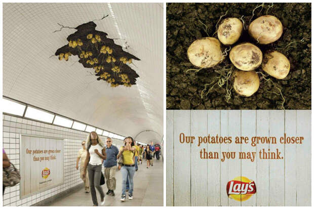 Картошка, везде картошка геиально, дизайн, интересное, красиво, реклама