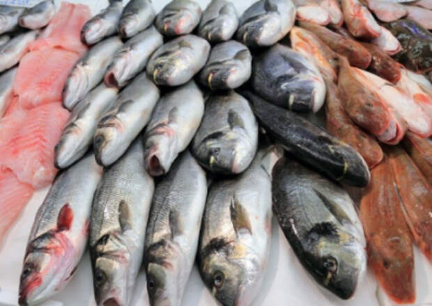 Путин заметил, что россияне едят мало рыбы Путин заметил, что россияне едят мало рыбы